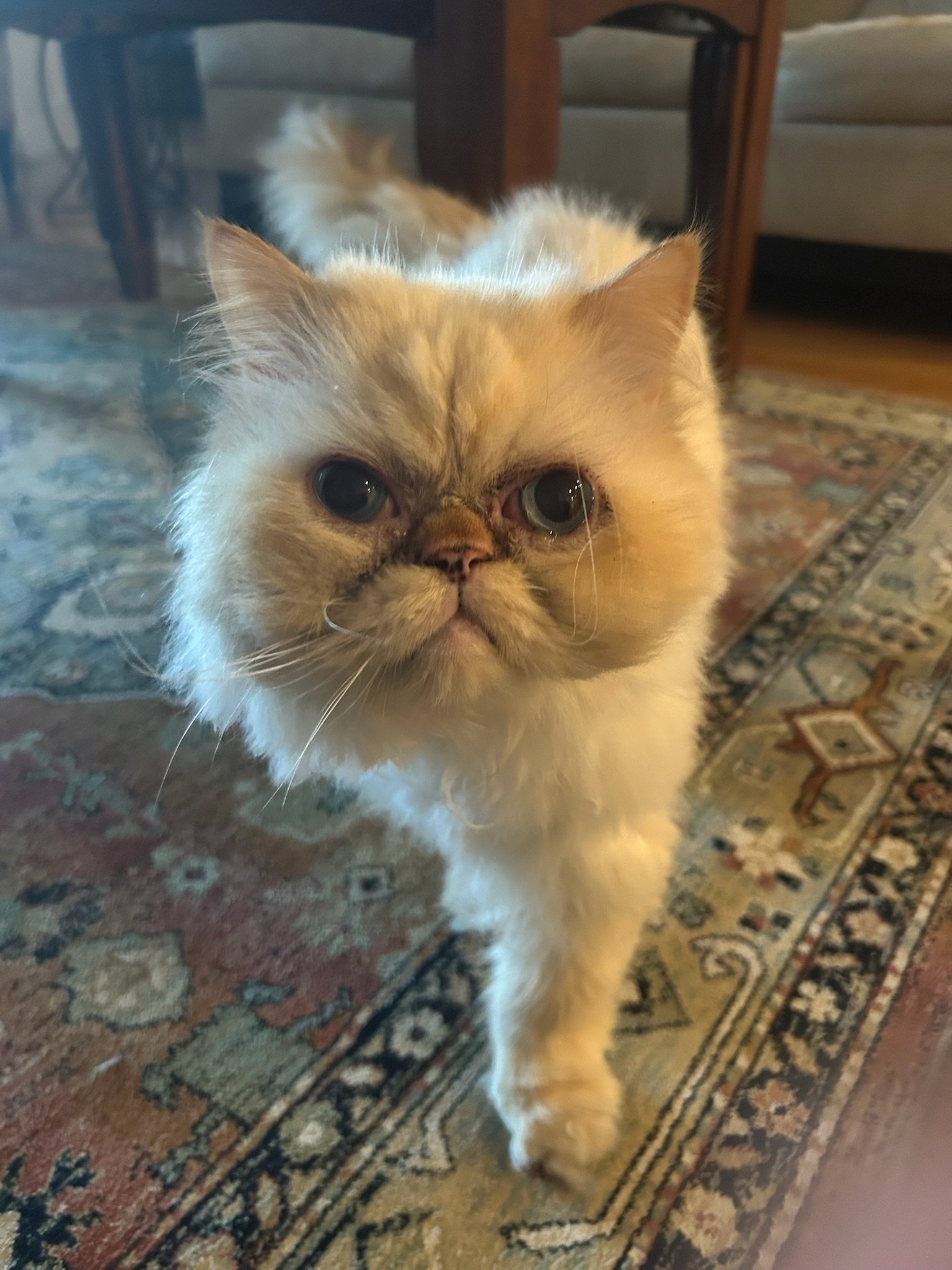 Walter
