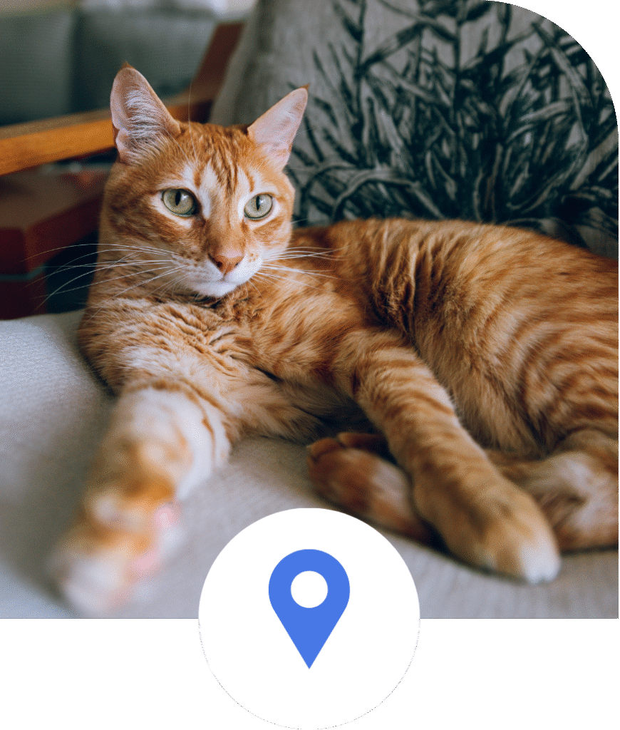 Convenient Care Right in Your Neighborhood